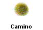 Camino