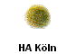 HA Kln