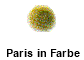 Paris in Farbe